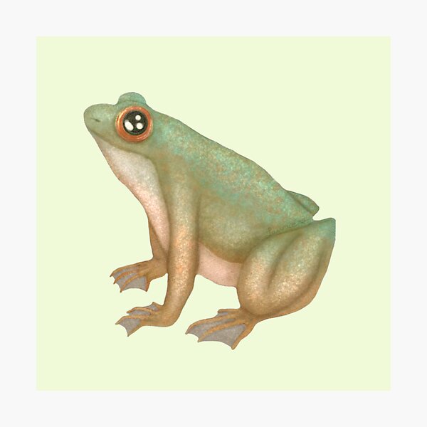Item preview, Cute Green Watercolor Frog designed and sold by lauracedrawings.