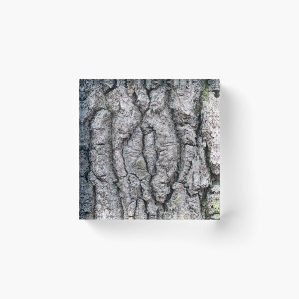 Item preview, Tree bark texture, nature designed and sold by Wiko Glitch.