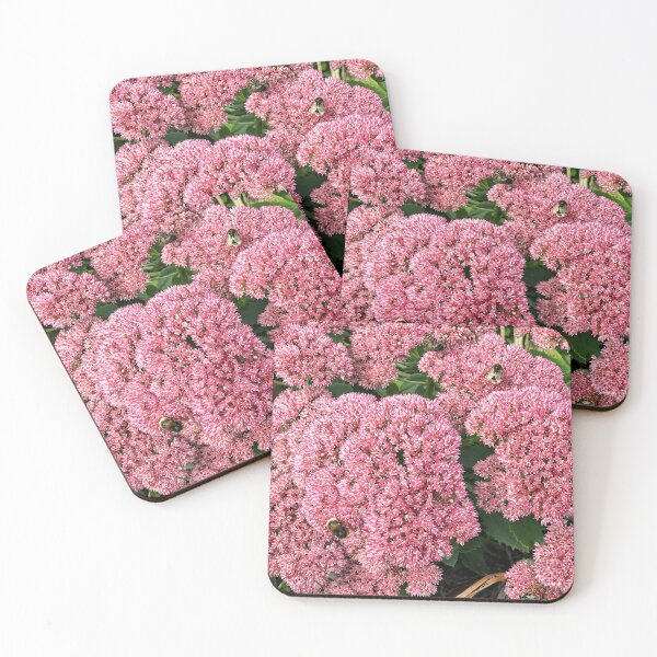 Item preview, Pink Sedum Flowers with Bees in Bloom designed and sold by pinkal.