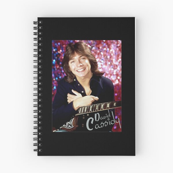 Item preview, Vintage Seventy Pop Singer Retro Guitar Portrait designed and sold by DeborahJRayner.