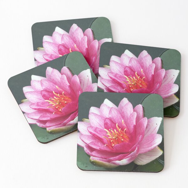 Item preview, Pink Water Lily Blooming on Pond Water designed and sold by pinkal.