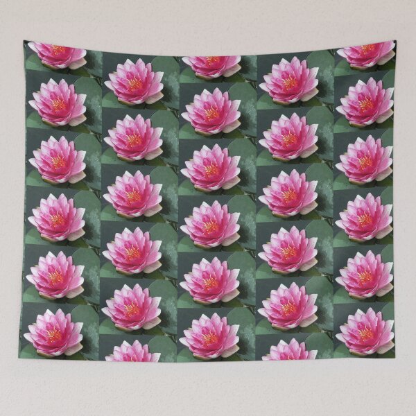 Item preview, Pink Water Lily Blooming on Pond Water designed and sold by pinkal.