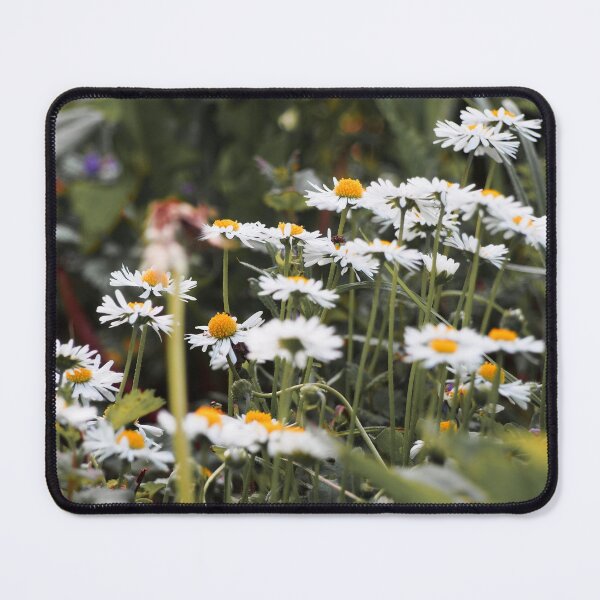 Item preview, Wild White Daisy Meadow Cottagecore Botanical Photo designed and sold by Dzulo.