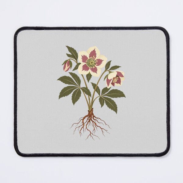 Item preview, Botanical Hellebore Flower with Exposed Roots designed and sold by hattie's.