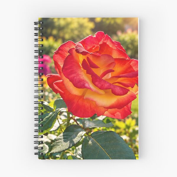 Item preview, Elegant Red and Orange Rose Flower Botanical Nature Design designed and sold by Wild Bloom Paws.