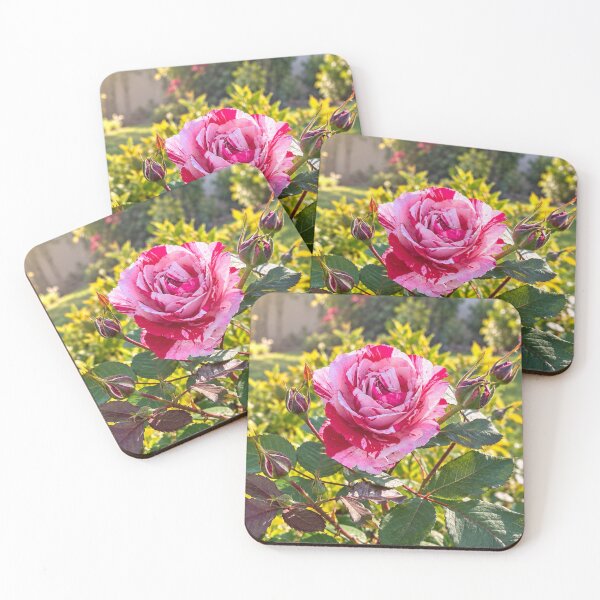 Item preview, Pink and White Rose with Buds Botanical Floral Nature Design designed and sold by Wild Bloom Paws.