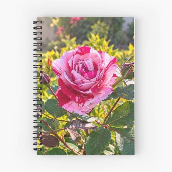 Item preview, Pink and White Rose with Buds Botanical Floral Nature Design designed and sold by Wild Bloom Paws.