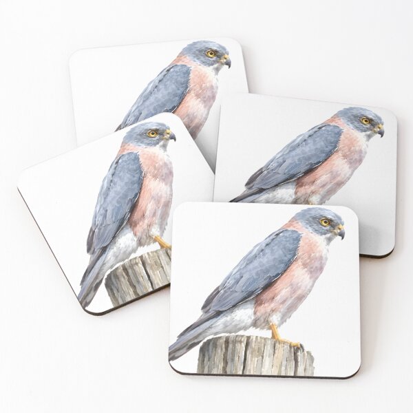 Item preview, Fiji Goshawk (Tachyspiza rufitorques) designed and sold by HOMETOWN86.