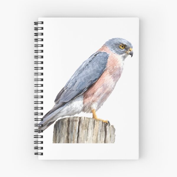 Item preview, Fiji Goshawk (Tachyspiza rufitorques) designed and sold by HOMETOWN86.