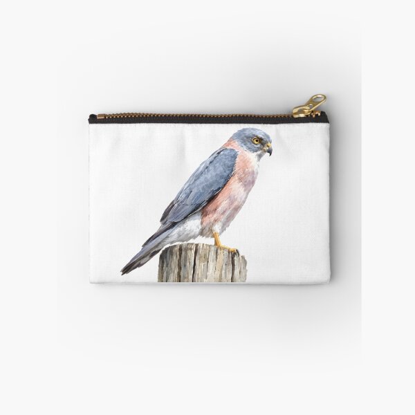 Item preview, Fiji Goshawk (Tachyspiza rufitorques) designed and sold by HOMETOWN86.