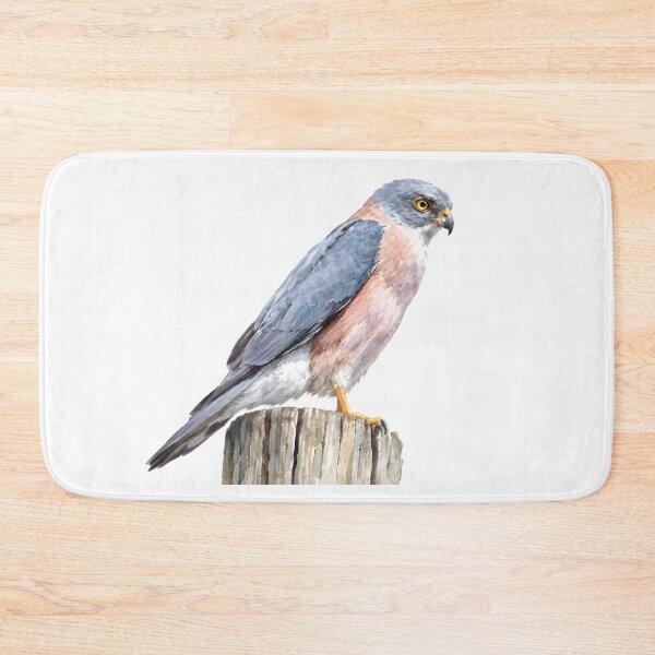 Item preview, Fiji Goshawk (Tachyspiza rufitorques) designed and sold by HOMETOWN86.