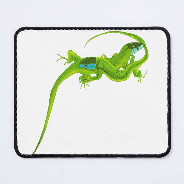 Item preview, lizard, reptile, animal, nature, green, wildlife, iguana, gecko, dragon, chameleon, isolated, wild, lacerta, tropical, macro, scales designed and sold by MartaElezart.