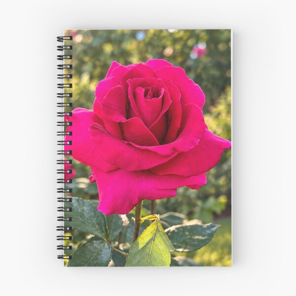 Item preview, Vibrant Fuchsia Rose in Bloom designed and sold by Wild Bloom Paws.