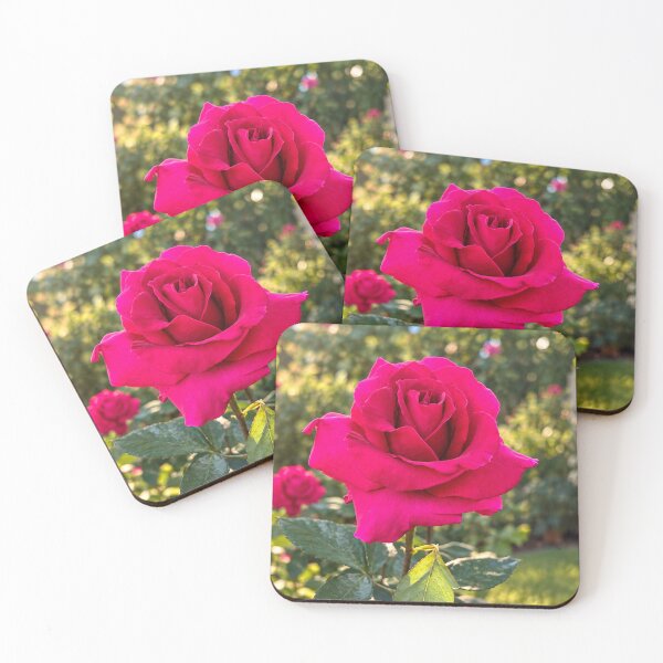 Item preview, Vibrant Fuchsia Rose in Bloom designed and sold by Wild Bloom Paws.