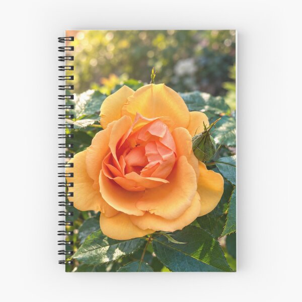 Item preview, Golden Orange Rose in Full Bloom designed and sold by Wild Bloom Paws.