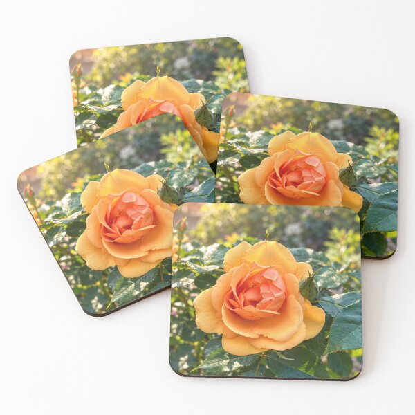 Item preview, Golden Orange Rose in Full Bloom designed and sold by Wild Bloom Paws.