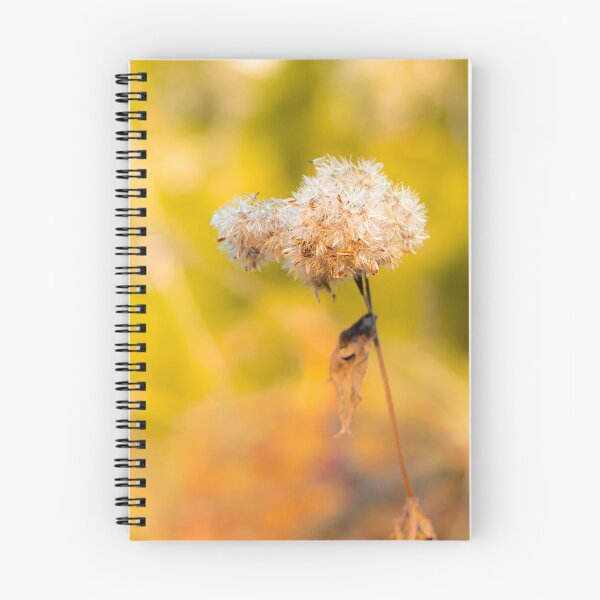 Item preview, Golden Hour Dried Flower Soft Bokeh Botanical Photo designed and sold by Dzulo.
