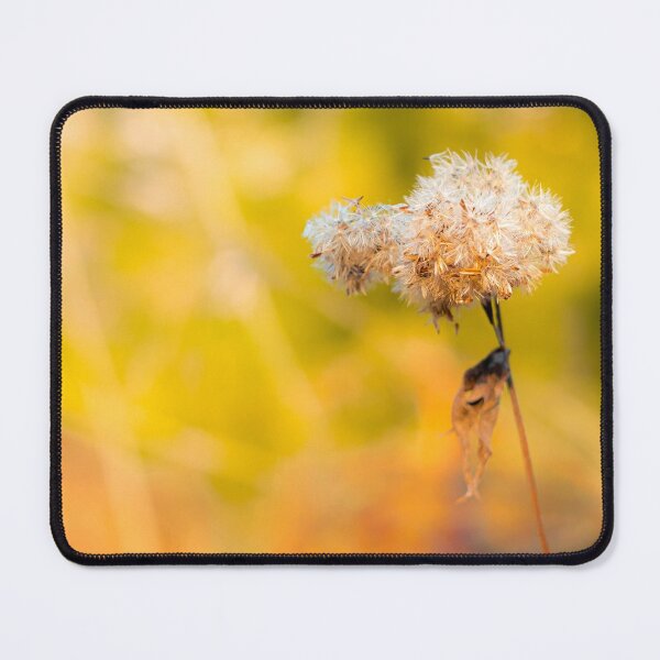 Item preview, Golden Hour Dried Flower Soft Bokeh Botanical Photo designed and sold by Dzulo.