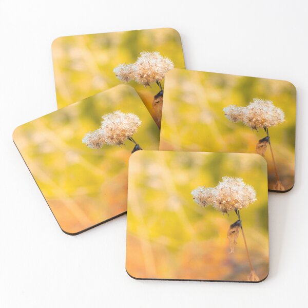 Item preview, Golden Hour Dried Flower Soft Bokeh Botanical Photo designed and sold by Dzulo.