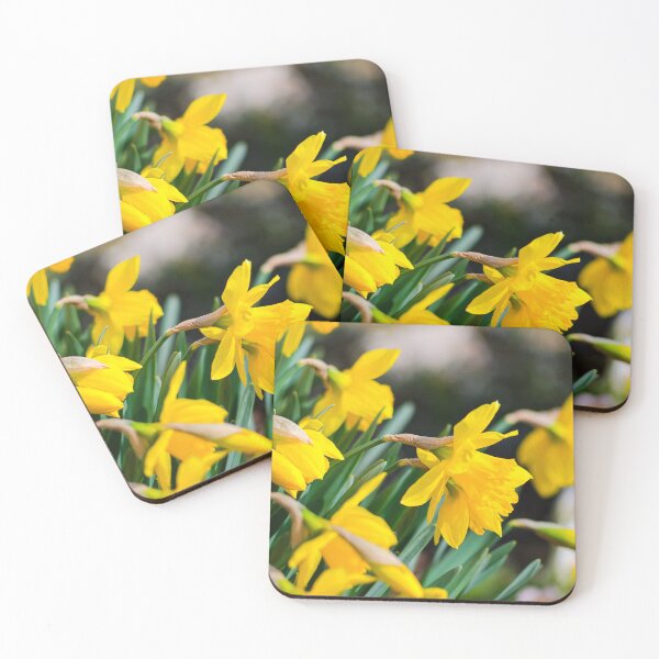 Item preview, Yellow Daffodils Blooming Spring Garden Botanical Photo designed and sold by Dzulo.