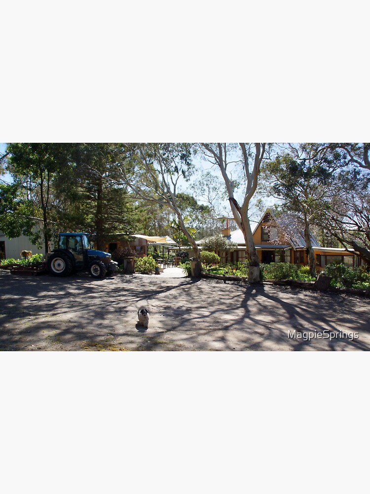 Thumbnail 3 of 3, Sticker, Magpie Springs - House Garden, Cellar door and Art Gallery by Avril Thomas designed and sold by MagpieSprings.