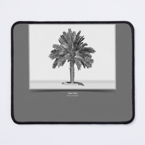 Item preview, Nature: Date Palm - Achromatic designed and sold by anuaramir.