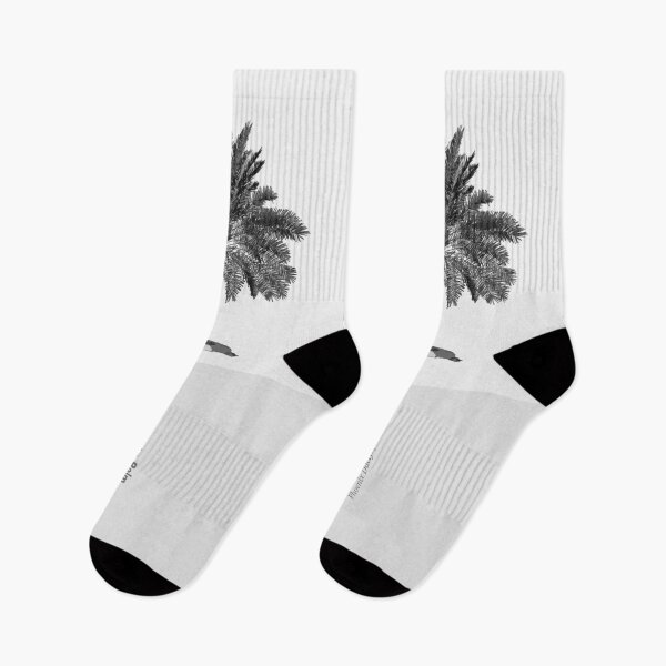 Item preview, Nature: Date Palm - Achromatic designed and sold by anuaramir.