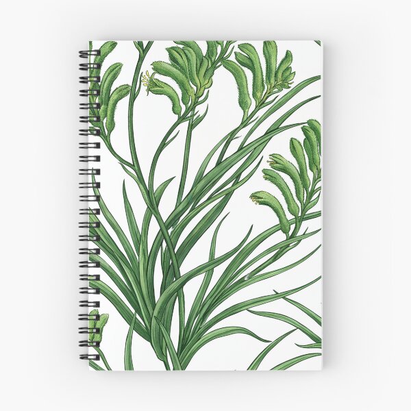 Item preview, Graphic Green Kangaroo Paw Foliage Pattern on White designed and sold by Studio BC.