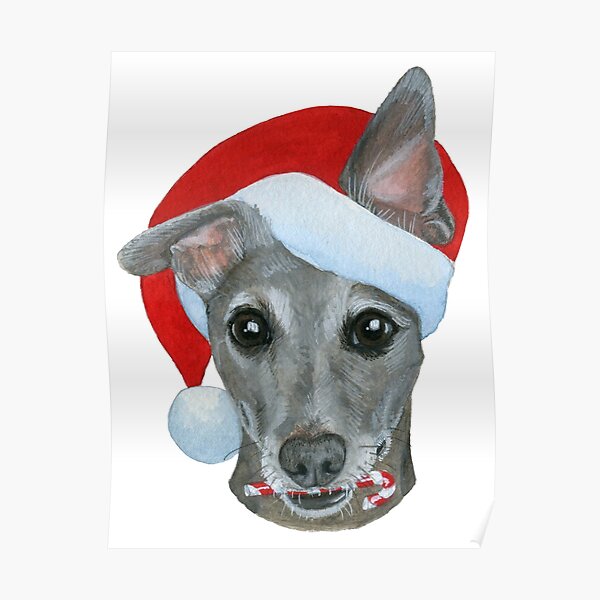 whippet christmas hat