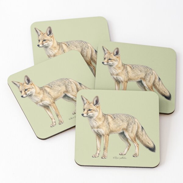Item preview, Pale Fox Vulpes Pallida Art Print: Vintage Sahel Wildlife Illustration Poster designed and sold by FreiherrPK.