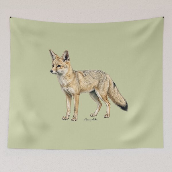 Item preview, Pale Fox Vulpes Pallida Art Print: Vintage Sahel Wildlife Illustration Poster designed and sold by FreiherrPK.