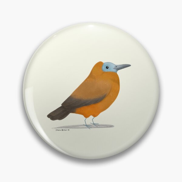 Item preview, Capuchin Bird designed and sold by julianamotzko.