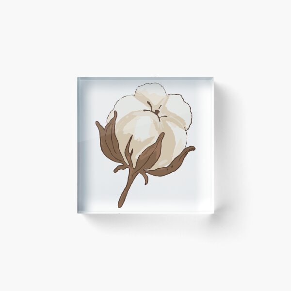 Item preview, Cotton Boll Cream Winter Botanicals Illustration designed and sold by sdcreations210.