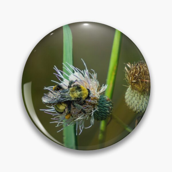 Item preview, Bee on a Flower designed and sold by TinyDinoDesigns.