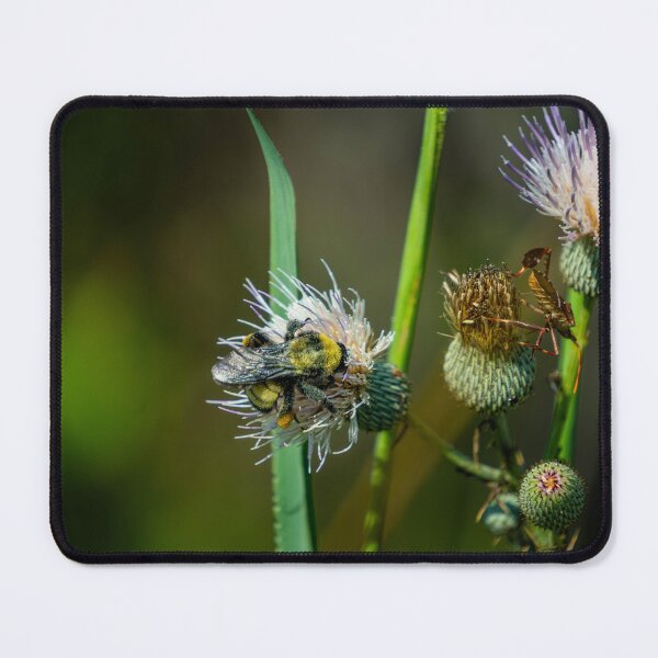 Item preview, Bee on a Flower designed and sold by TinyDinoDesigns.