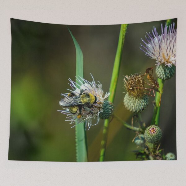 Item preview, Bee on a Flower designed and sold by TinyDinoDesigns.