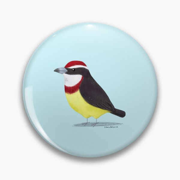 Item preview, Scarlet Banded Barbet Bird designed and sold by julianamotzko.