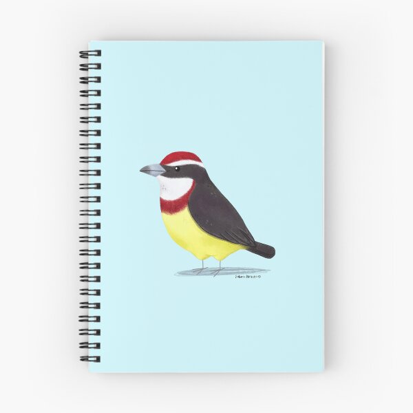 Item preview, Scarlet Banded Barbet Bird designed and sold by julianamotzko.
