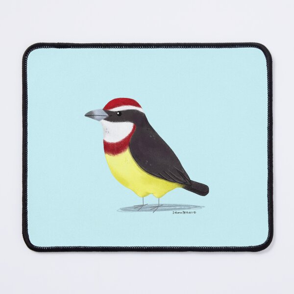 Item preview, Scarlet Banded Barbet Bird designed and sold by julianamotzko.