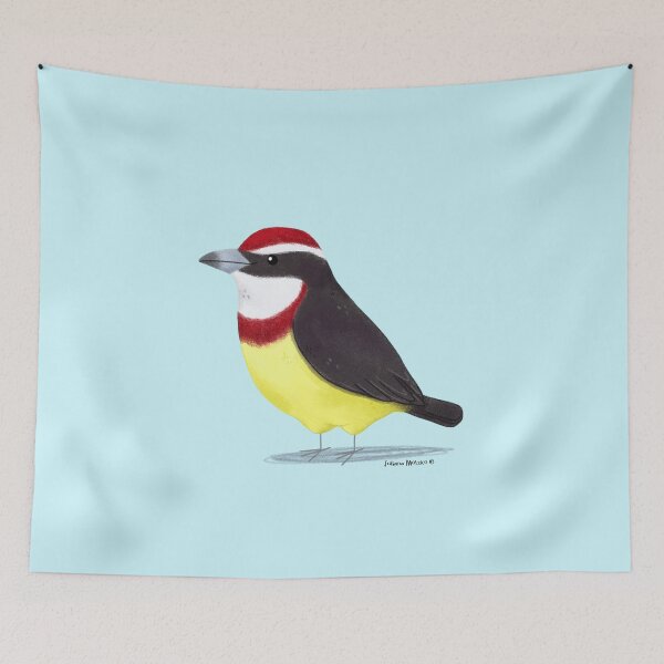 Item preview, Scarlet Banded Barbet Bird designed and sold by julianamotzko.