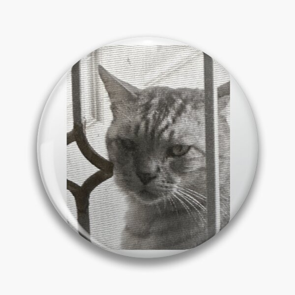 Item preview, Silly Tabby Cat Staring Through Window Screen Meme designed and sold by fahiko.
