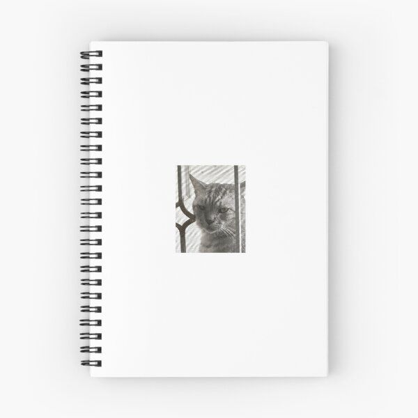 Item preview, Silly Tabby Cat Staring Through Window Screen Meme designed and sold by fahiko.