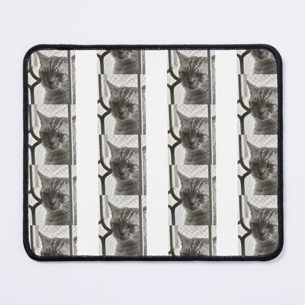 Item preview, Silly Tabby Cat Staring Through Window Screen Meme designed and sold by fahiko.
