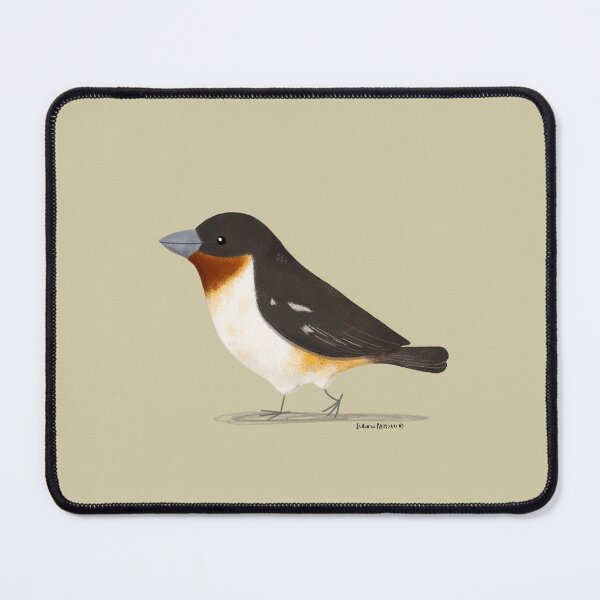 Item preview, White Rumped Tanager Bird designed and sold by julianamotzko.
