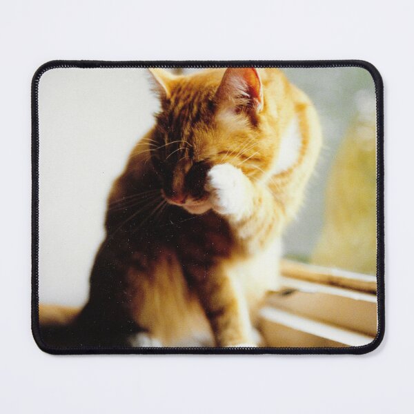 Item preview, Ginger and white cat cleaning photograph designed and sold by Natimo-Studio.