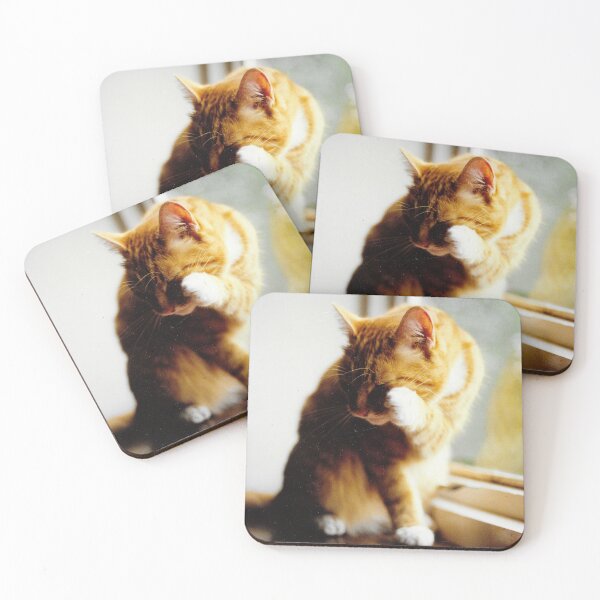 Item preview, Ginger and white cat cleaning photograph designed and sold by Natimo-Studio.