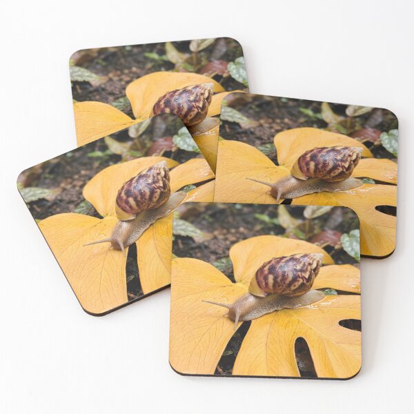 Item preview, Giant Garden Snail Crawling On Golden Monstera Leaf designed and sold by dandiboass.
