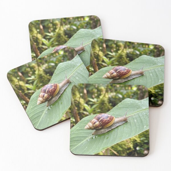Item preview, Striped Land Snail Exploring Green Tropical Leaf designed and sold by dandiboass.