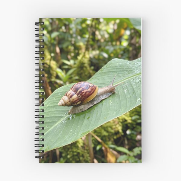 Item preview, Striped Land Snail Exploring Green Tropical Leaf designed and sold by dandiboass.