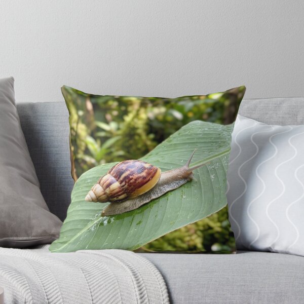Item preview, Striped Land Snail Exploring Green Tropical Leaf designed and sold by dandiboass.